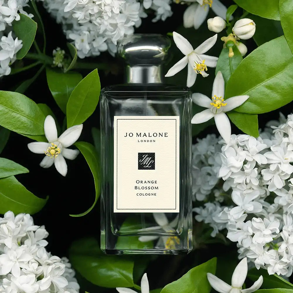 Orange Blossom Cologne jomalone