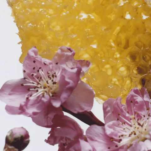 Nectarine Blossom & Honey Scented Candle jomalone