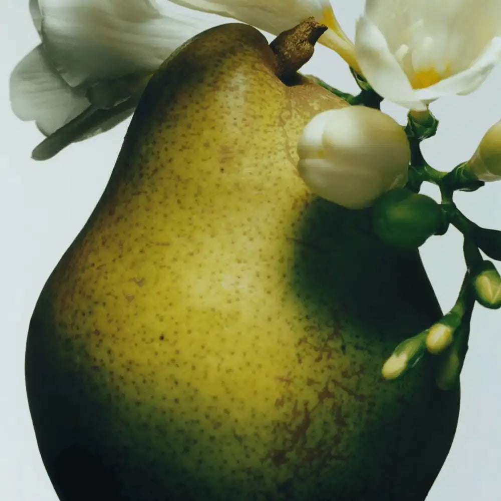 English Pear & Freesia Diffuser Oil Refill jomalone