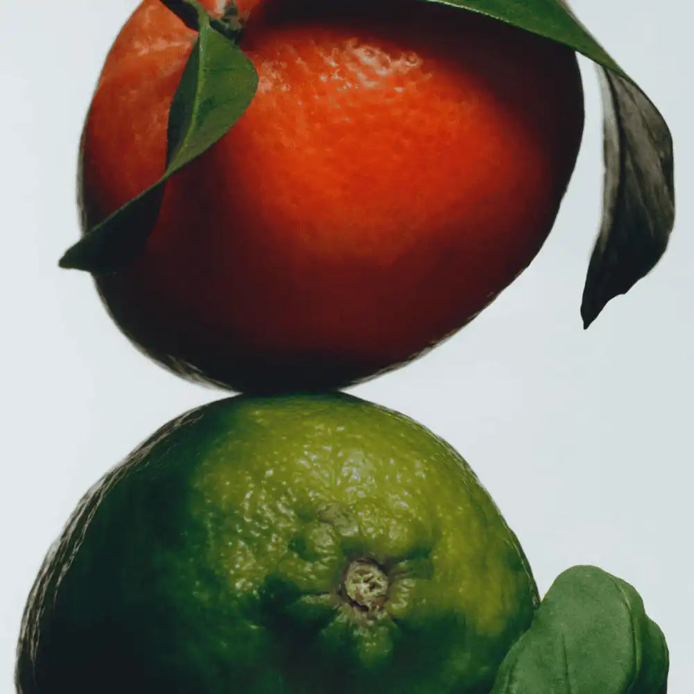 Lime Basil & Mandarin Diffuser Oil Refill jomalone