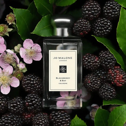 Blackberry & Bay Cologne jomalone