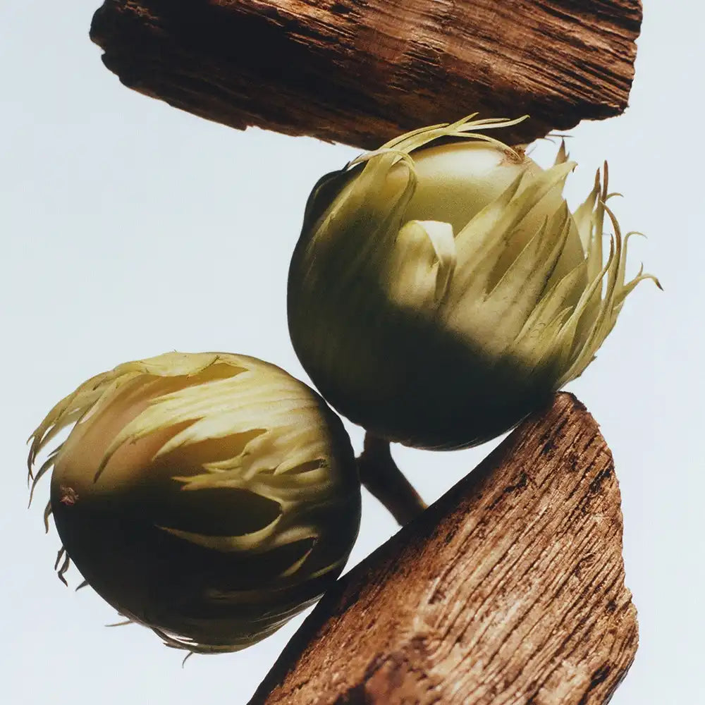 English Oak & Hazelnut Cologne jomalone