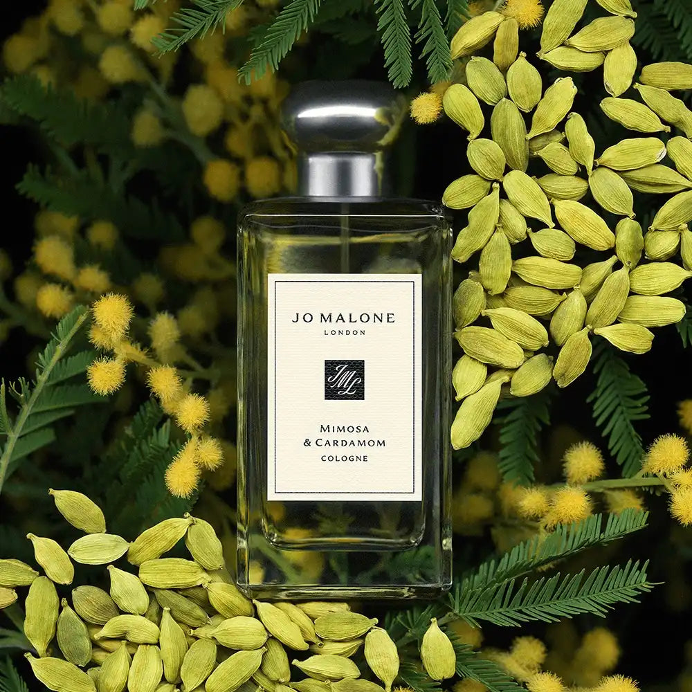 Mimosa & Cardamom Cologne jomalone