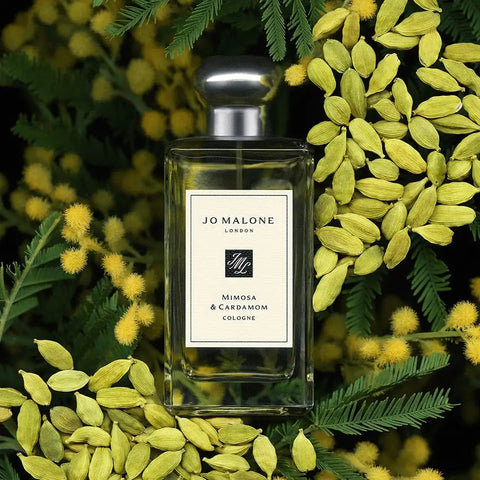 Mimosa & Cardamom Cologne jomalone