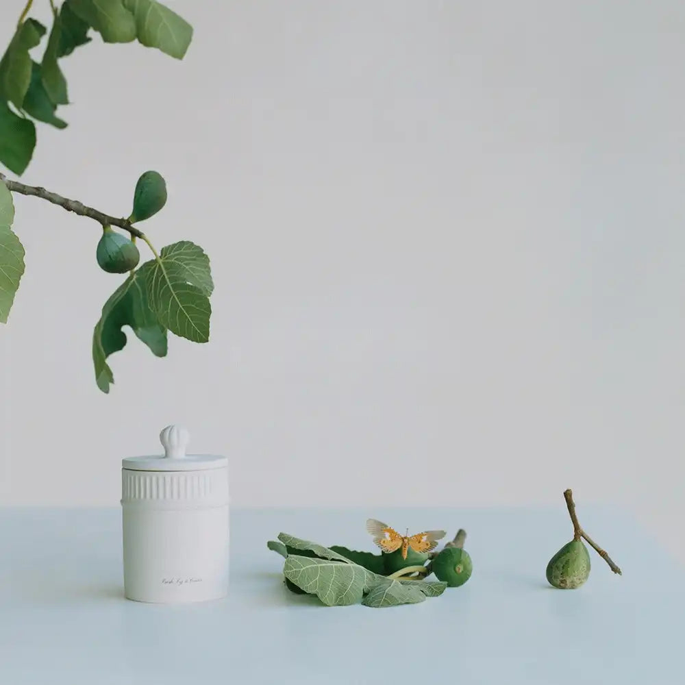 Fresh Fig & Cassis Townhouse Scented Candle jomalone