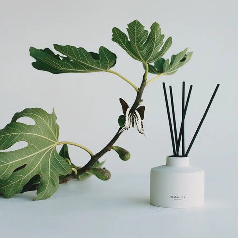 Fresh Fig & Cassis Reed Diffuser jomalone