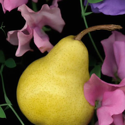 English Pear & Sweet Pea Cologne jomalone